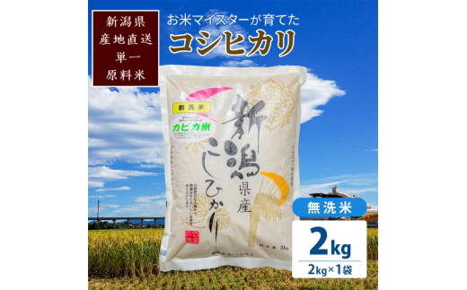 ふるさと納税 令和5年産 お米マイスターが育てた上越産コシヒカリ
