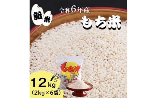 四国一小さなまち】☆精米 新米 もち米 12kg☆≪令和6年11月中旬から順次発送開始≫令和6年産 もち米 12kg（2kg×6袋） 米 お米 精米  こめ コメ モチ もち もち米 赤飯 餅 餅米 新米 おはぎ おもち おこわ 限定 グルメ お取り寄せ 高知県 田野町 国産 故郷納税 - 高知県  ...