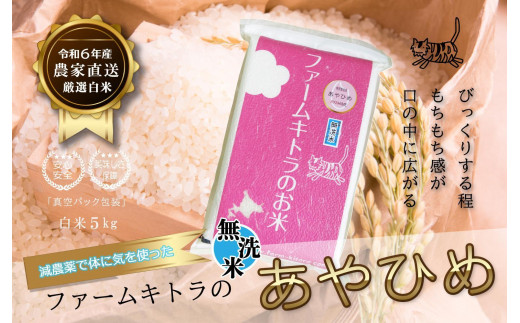 減農薬で体に気を使った】令和6年産 あやひめ無洗米5kg - 北海道長沼町｜ふるさとチョイス - ふるさと納税サイト