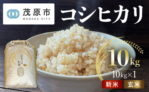 新米 令和6年 千葉県茂原市産 コシヒカリ 玄米30kg MBAM013 - 千葉県茂原市｜ふるさとチョイス - ふるさと納税サイト