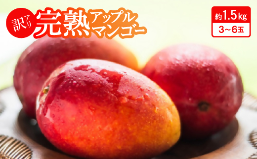 yꌧ^ߌz2026N6{珇E󂠂聄nAbv}S[1.5kg(3ʁ`6)y1546407z