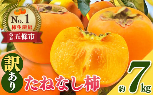 令和 7年分 先行 予約 】 たねなし 柿 わけあり ！ 約 7kg | 柿 かき カキ 果物 フルーツ くだもの 訳あり 家庭用 ご家庭用 お歳暮  秋 味覚 奈良県 五條市 - 奈良県五條市｜ふるさとチョイス - ふるさと納税サイト