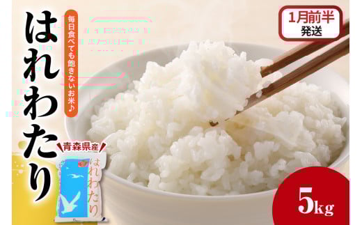 【青森県五所川原市】米 5kg はれわたり 白米 精米 青森 【2026年1月前半発送】五所川原 JA 農協 お米 コメ ごはん 飯