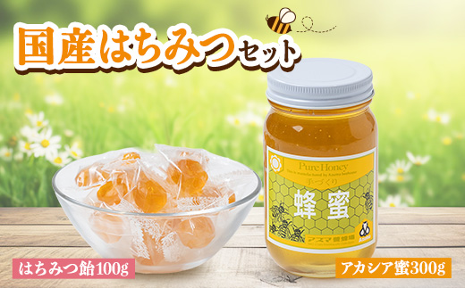 ✳️アカシア蜜１０本　生はちみつ　自家製蜂蜜 ☀アカシア蜜10本 生はちみつ 自家製蜂蜜 （蜂蜜・ジャムの