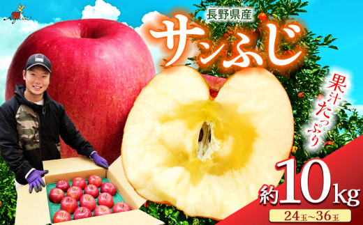 特選サンふじ10キロ36玉中玉長野県産減農薬化学肥料不使用