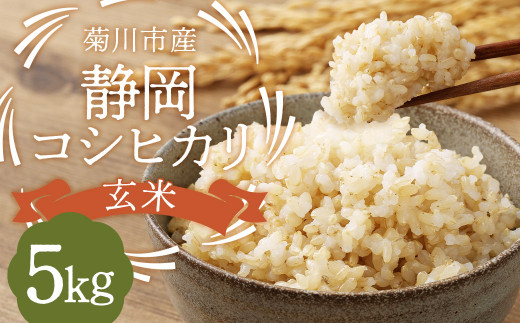 令和6年産】 菊川市産 静岡コシヒカリ 玄米 5kg 【2024年9月上旬-2025 