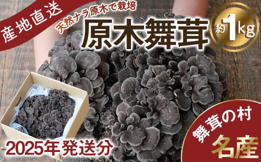 2025年発送分先行予約】丹波山村産 原木舞茸 約1kg 2025年9月下旬より順次発送予定 / 丹波山名産 希少 無農薬 無添加 舞茸 まいたけ  マイタケ 原木栽培 きのこ キノコ 産地直送 - 山梨県丹波山村｜ふるさとチョイス - ふるさと納税サイト