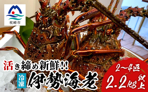 ysz`g!@YⓀ ɐCV 2`4C v2.2kg E0-14y1470872z