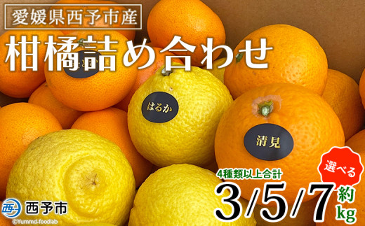 yQ\szQ\sY klߍ킹 v3kg^5kg^7kg ʕ t[c C ܂ y ݂ ~J  Hה l Zbg ƒp k Yi [ĂR_