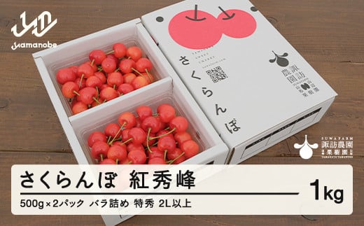 先行予約》2025年 山形県産 さくらんぼ 紅秀峰 1kg(500g×2) バラ詰め(パック) 特秀 2L以上 2025年6月下旬から順次発送  F20A-528 - 山形県山辺町｜ふるさとチョイス - ふるさと納税サイト