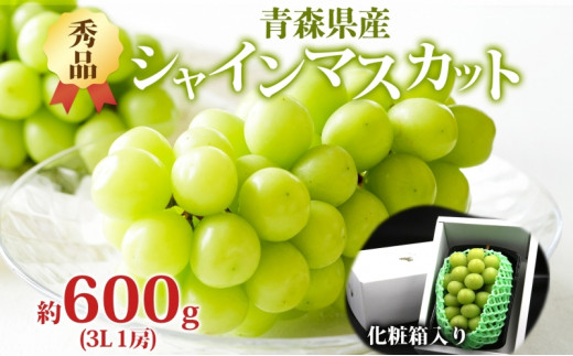 yXډzVC}XJbg Gi 1[ 600g XY Ԃǂ uhE  Ȃ 嗱 ʕ t[c  ʎ { p ϔ 蕨 lC  Yn X 