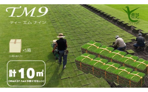 sd1_ad41db5c15043b36e98a8a281f 