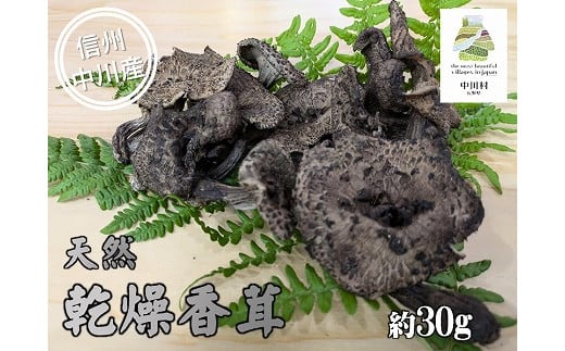 希少きのこ 乾燥香茸 約50g - 長野県中川村｜ふるさとチョイス - ふるさと納税サイト