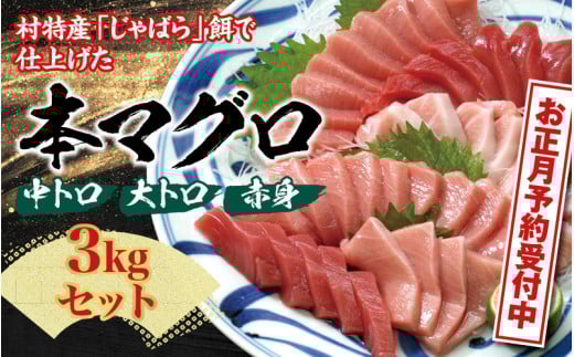 ya̎RkRz{}Oi{BjgԐgZbg 3kg yNi1225`30jzyzBwszynks112-sgz