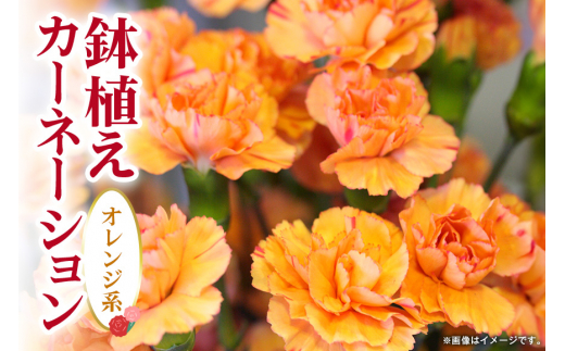 y錧߉ώszJ[l[V IWn ̓ւ̑蕨 v[g Mtg J[l[V  AW A 5  Y Ԕ  t[AWg ̓Mtg t