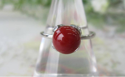 ymhюszXElق̎X̎w68