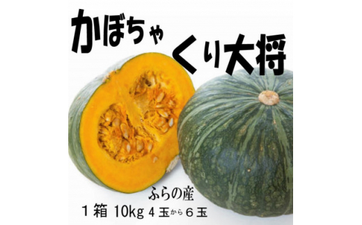ykCxǖsz2026NstʁEԁӂ̎Y@ڂ@110kg(叫Z)@y1473419z
