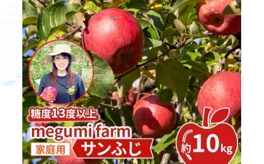 【青森県鰺ヶ沢町】りんご 【 数量限定 】 糖度13度以上 家庭用 サンふじ 約 10kg 糖度 青森 果物 くだもの フルーツ 青森県 鰺ヶ沢