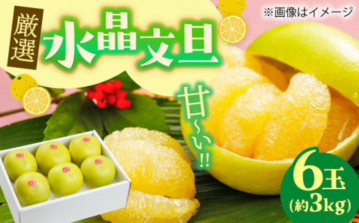 先行予約】厳選 水晶文旦 約3kg 5～6玉入り 〈2025年9月～発送〉【有限 