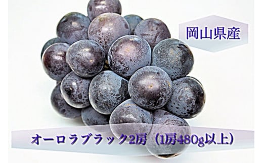 岡山県産オーロラブラック 4房 岡山県産オーロラブラック 4房