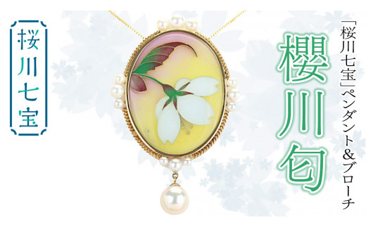 桜川 七宝 」 櫻川匂 ペンダント ＆ ブローチ (60mm×40mm) ／ 母の日  