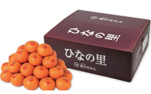 愛媛蜜柑 真穴みかん ＜ひなの里＞ 5kg＜F43-1＞_ みかん 蜜柑 ミカン 愛媛