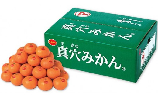 真穴みかん ＜サイズおまかせ＞ 5kg＜E43-5＞_ みかん 蜜柑 ミカン