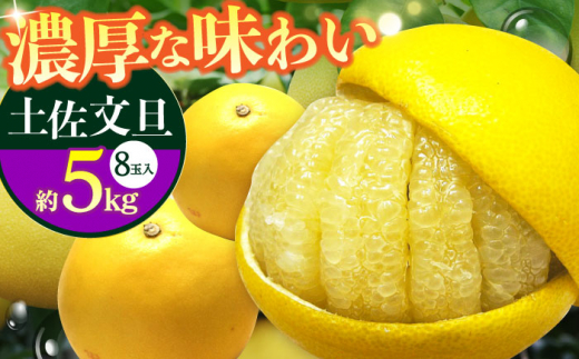 南国高知温室土佐文旦 約5kg 8玉〈2025年11月中旬～2026年2月中旬頃