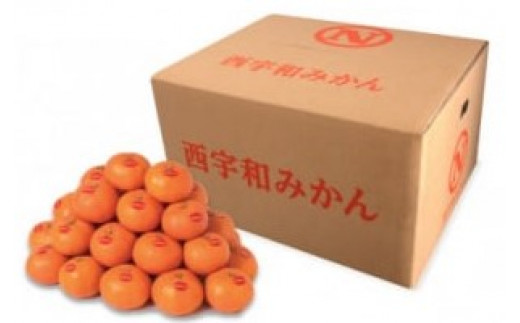 みかん 真穴みかん ＜2Lサイズ＞ 9kg＜F43-4＞_ みかん 蜜柑 ミカン 愛媛
