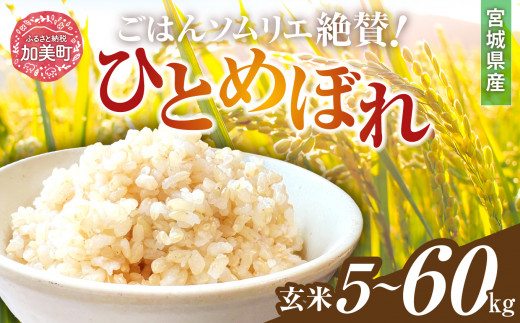 玄米 令和6年産 宮城県加美町産 ひとめぼれ 5kg ～ 20kg | 2回 ～ 3回 令和4年度産 ひとめぼれ 6500円