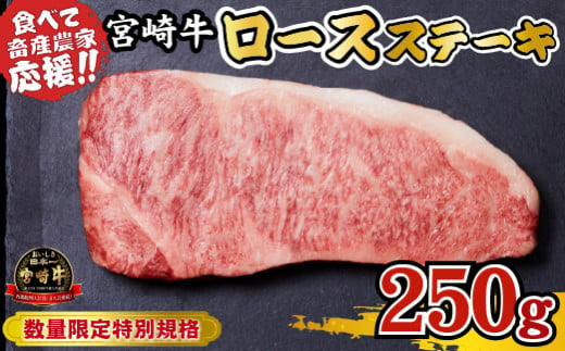 宮崎牛 ロースステーキ 750g（牛肉 黒毛和牛 畜産農家応援 ロース ステーキ 赤身 数量限定） - 宮崎県小林市｜ふるさとチョイス -  ふるさと納税サイト