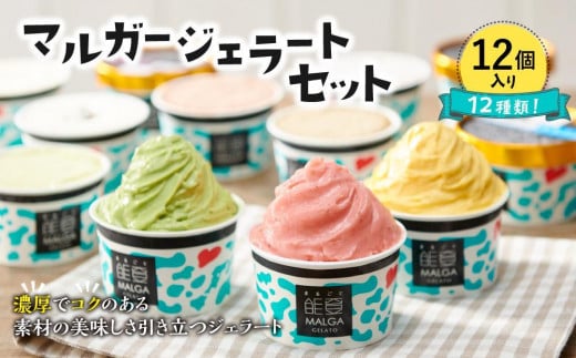 yΐ쌧\ozyxz}K[WF[g\oZbgi12j