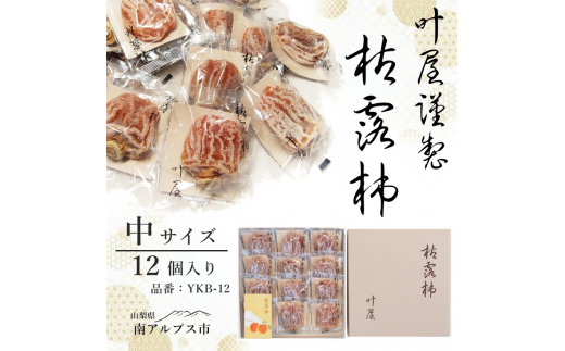 yRAvXsz12{菇͘I`@YKB-12yTCY12zp@`@낪@ALPBC001