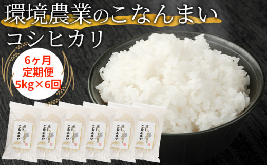 yꌧΓszy6ցz_Ƃ̂Ȃ܂ RVqJ5kg [5748-0451]