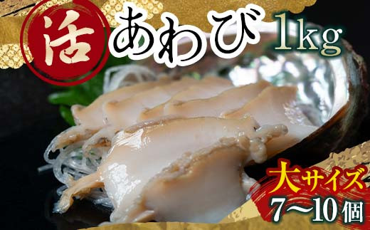 12/17入金完了分まで年内発送】天然 活 あわび 1kg（中サイズ・11～15個）北海道噴火湾産＜物産館運営振興会((株)ハマグチ)＞ あわび 鮑  アワビ 海産物 魚貝類 ふるさと納税 北海道 森町 mr1-0295 - 北海道森町｜ふるさとチョイス - ふるさと納税サイト