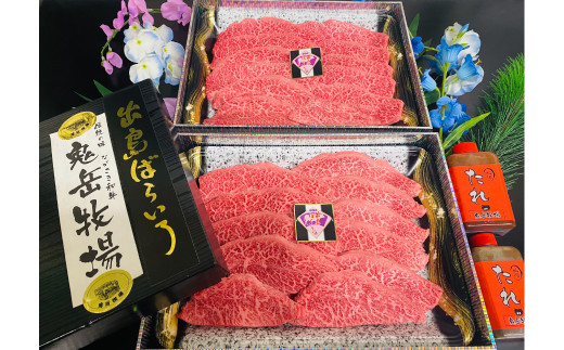 【長崎県長崎市】出島ばらいろ ミスジまたはヒウチ 約800g (焼肉のたれ付き) / 和牛 お肉 肉 牛肉 国産 ミスジ ヒウチ 希少部位 焼肉 焼き肉 BBQ バーベキュー アウトドア タレ付き 木箱入り