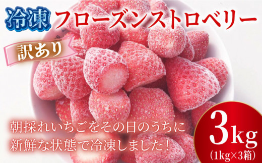 【埼玉県羽生市】訳あり 冷凍 いちご 3kg フローズン ストロベリー 産地直送 ご当地 苺 果物 くだもの フルーツ デザート よつぼし 紅ほっぺ かおり野 恋みのり おいCベリー 食品 げんき農場