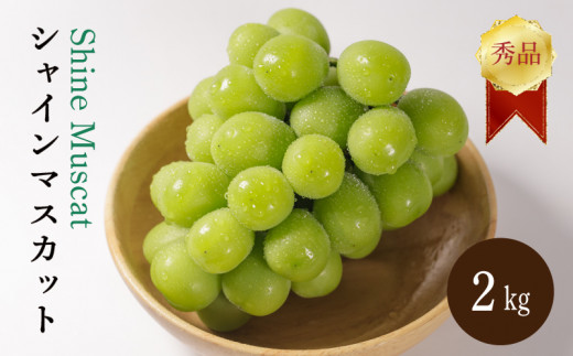 yQRszys\ 2026N8{甭zVC}XJbg 2kg Gi VC}XJbg }XJbg ܂ Ԃǂ uhE  햳 ʕ  t[c { Ԍ