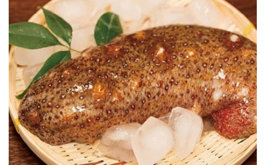 yRh哇z~G聙h哇YVRԂȂ܂ 500gystJnI2026N120ȍ~̂͂z