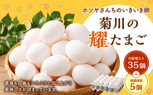 ホソヤさんちのいきいき卵 」菊川の耀たまご 40個 （ 割れ補償 5個含む