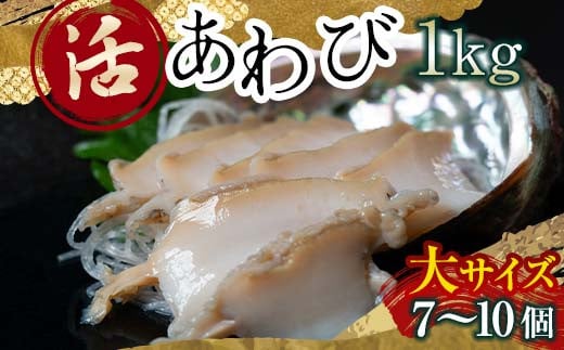 天然 活 あわび 1kg（大サイズ・7～10個）北海道噴火湾産＜物産館運営振興会((株)ハマグチ)＞ あわび 鮑 アワビ 海産物 魚貝類 ふるさと納税  北海道 森町 mr1-0293 - 北海道森町｜ふるさとチョイス - ふるさと納税サイト