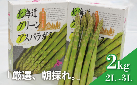 北海道産 春採り グリーン アスパラガス 2kg 2L～3Lサイズ おが