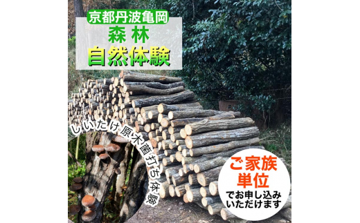 春休み 自然体験 親子でしいたけ原木菌打ち体験（家族単位）原木5本