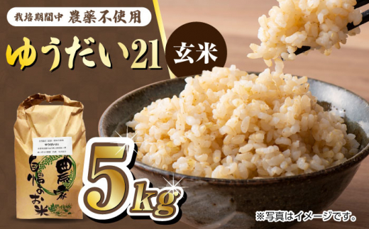 佐賀米 風味豊か　令和６年　玄米 imgrc0084174927.jpg