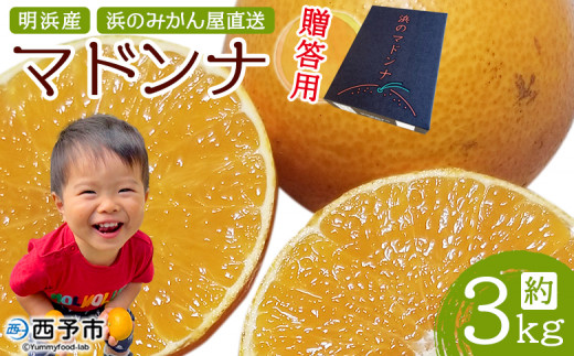 言の葉】マドンナ贈答箱+SUIGUNマドンナS6Kg＋南柑20号 言の葉様専用