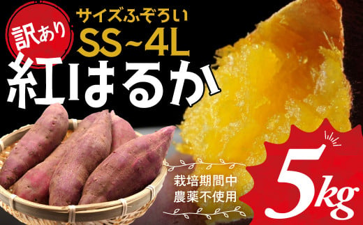 ≪訳あり≫ 栽培期間中農薬不使用 サツマイモ 5kg 紅はるか 無農薬 さつまいも サツマイモ ワケアリ ワケアリ わけありさつまいも詰め合わせ 芋  いも 三重県 多気町 GE‐01 - 三重県多気町｜ふるさとチョイス - ふるさと納税サイト