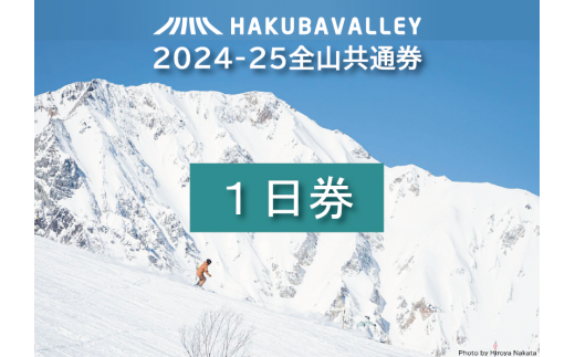 HAKUBA VALLEY 10スキー場共通1日券（2枚） - 長野県小谷村｜ふるさとチョイス - ふるさと納税サイト