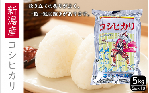 yVVszЂ VYRVqJ 5kg    R ͂ V   RVqJ uh   Yn