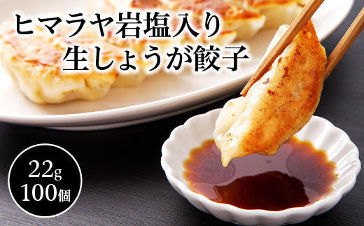 y쑽szq}≖萶傤Lq(22g×100)@y07208-0284z