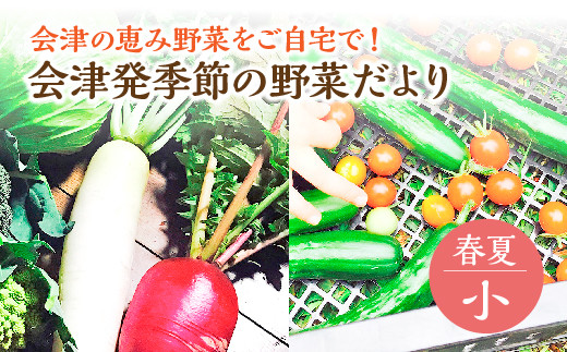 y쑽szÔG߂̖؂iEtāj@y07208-0256z